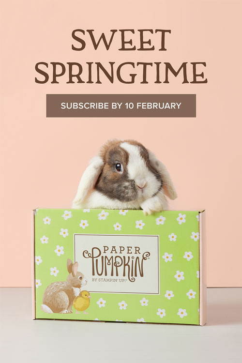 Subscription Box for Paper crafters